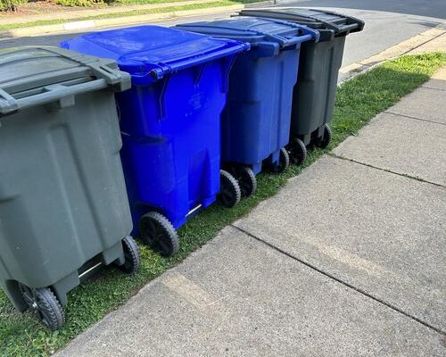 Recycling and trash bins on a curb